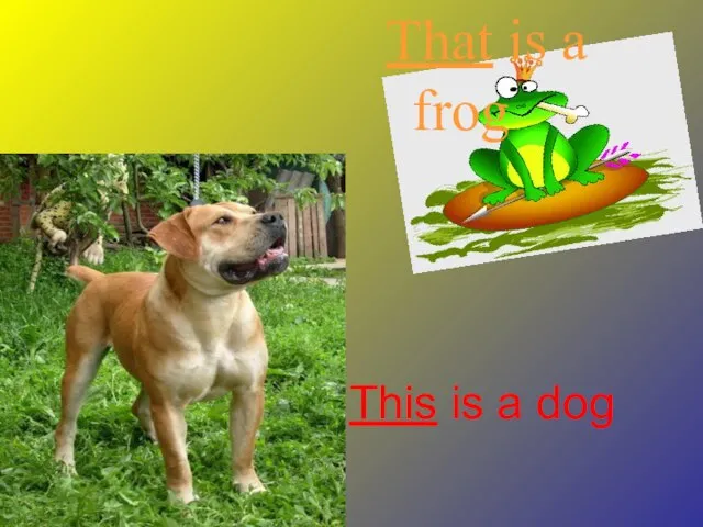 This is a dog That is a frog