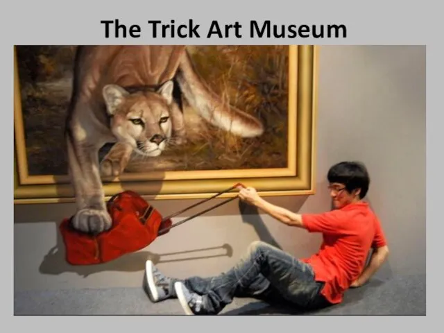 The Trick Art Museum