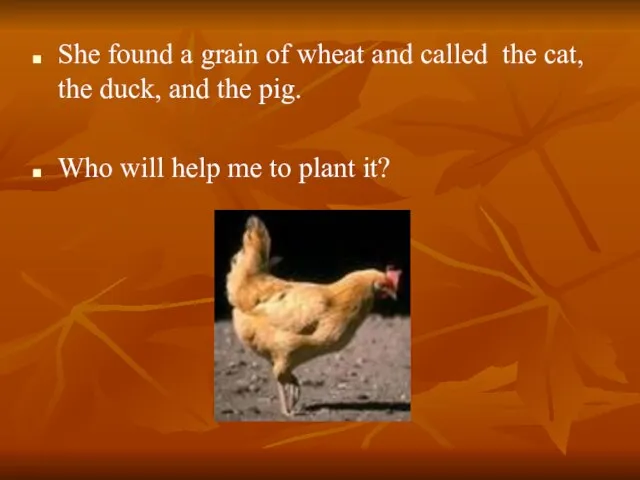 She found a grain of wheat and called the cat, the duck,