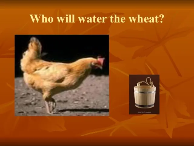Who will water the wheat?