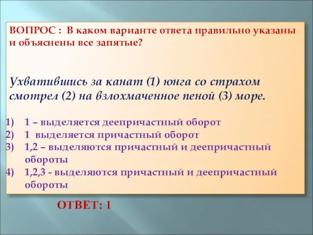 ВОПРОС : В каком варианте ответа правильно указаны и объяснены все запятые?