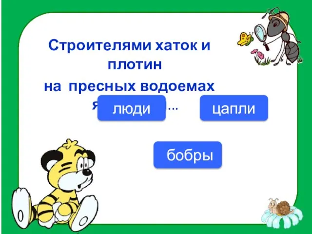 Строителями хаток и плотин на пресных водоемах являются... бобры цапли люди