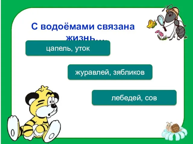 С водоёмами связана жизнь…. цапель, уток журавлей, зябликов лебедей, сов