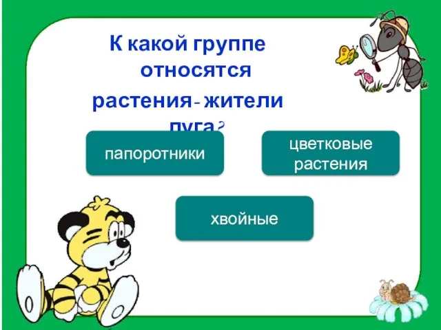 К какой группе относятся растения- жители луга? цветковые растения папоротники хвойные