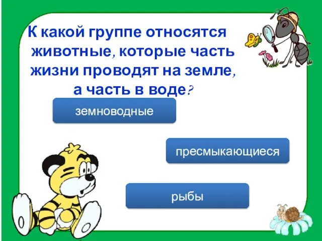 К какой группе относятся животные, которые часть жизни проводят на земле, а