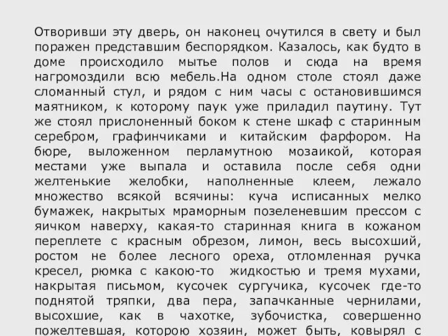 Отворивши эту дверь, он наконец очутился в свету и был поражен представшим