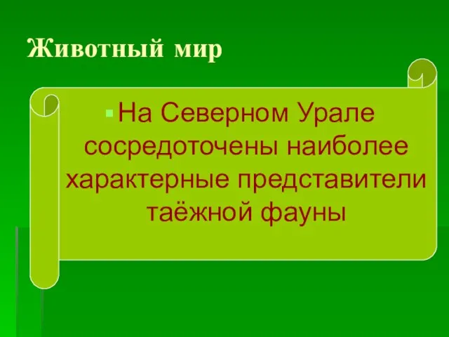 Животный мир На Северном Урале сосредоточены наиболее характерные представители таёжной фауны