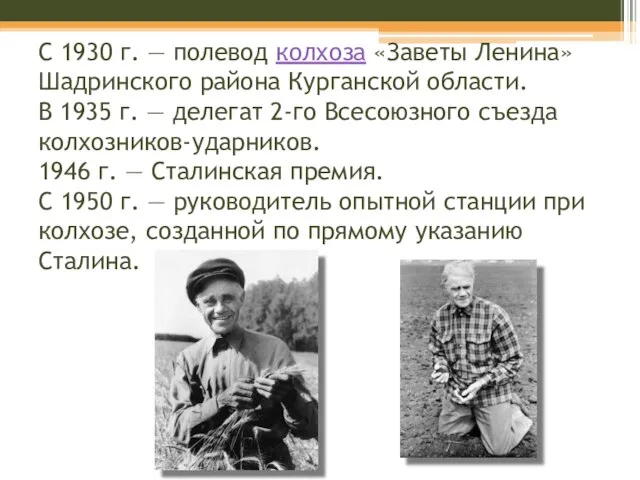 С 1930 г. — полевод колхоза «Заветы Ленина» Шадринского района Курганской области.