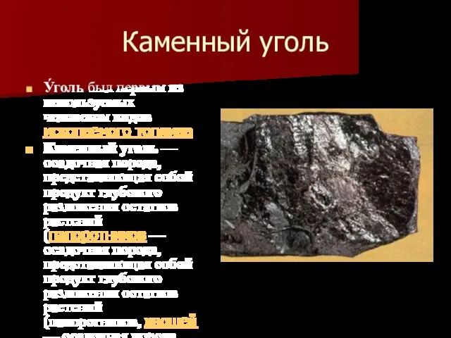 Каменный уголь У́голь был первым из используемых человеком видов ископаемого топлива Каменный