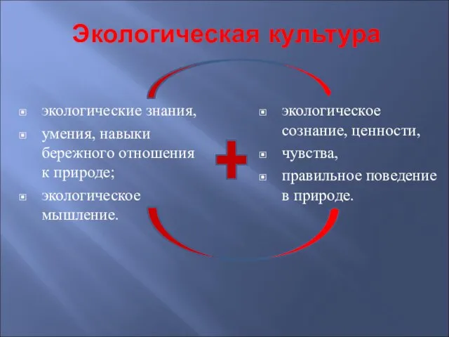 Экологическая культура экологические знания, умения, навыки бережного отношения к природе; экологическое мышление.