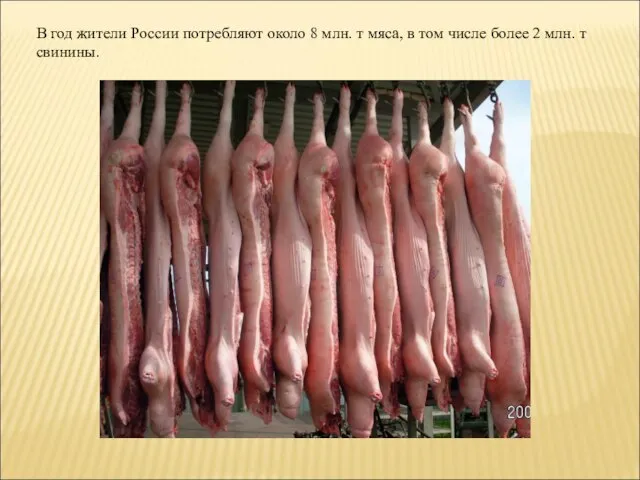 В год жители России потребляют около 8 млн. т мяса, в том
