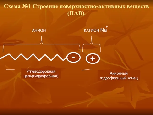 Схема №1 Строение поверхностно-активных веществ(ПАВ). - + АНИОН КАТИОН Na + Углеводородная цепь(гидрофобная) Анионный гидрофильный конец