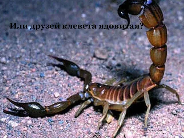 Или друзей клевета ядовитая?