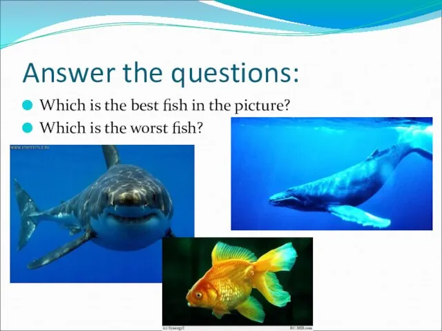Answer the questions: Which is the best fish in the picture? Which is the worst fish?