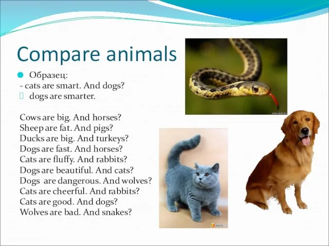 Compare animals Образец: - cats are smart. And dogs? dogs are smarter.