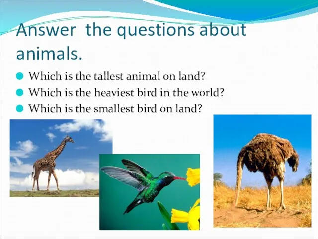 Answer the questions about animals. Which is the tallest animal on land?