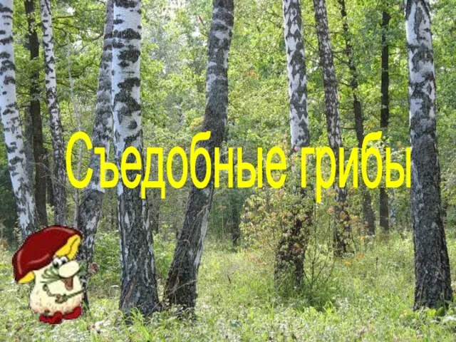 Съедобные грибы