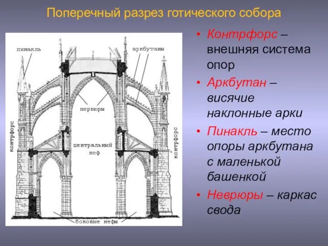 Поперечный разрез готического собора Контрфорс – внешняя система опор Аркбутан – висячие