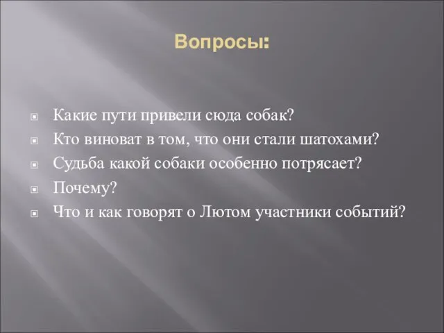 Вопросы: Какие пути привели сюда собак? Кто виноват в том, что они