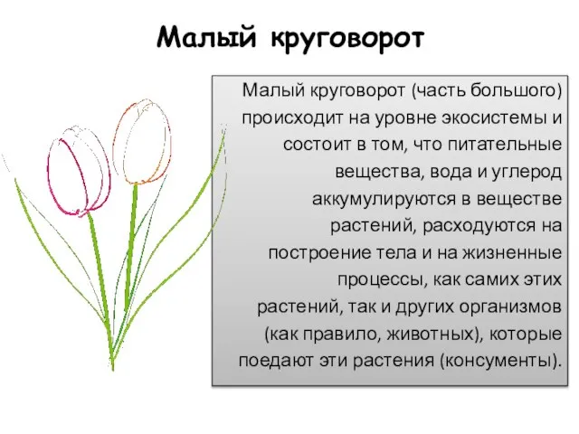 Малый круговорот Малый круговорот (часть большого) происходит на уровне экосистемы и состоит