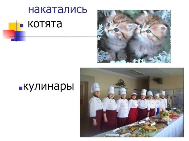 кулинары котята накатались