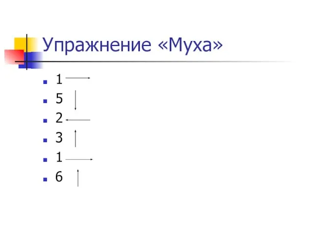 Упражнение «Муха» 1 5 2 3 1 6