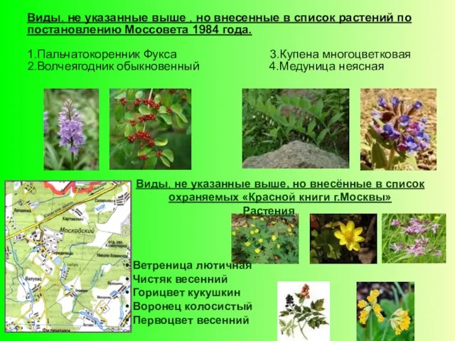 Виды, не указанные выше , но внесенные в список растений по постановлению