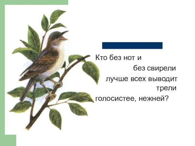 Кто без нот и без свирели лучше всех выводит трели голосистее, нежней?