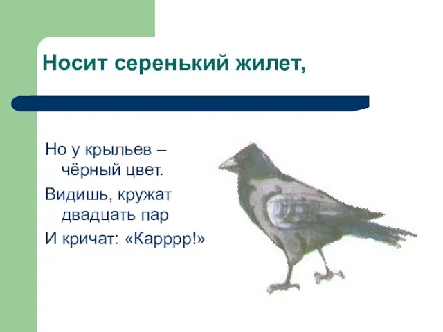 Носит серенький жилет, Но у крыльев – чёрный цвет. Видишь, кружат двадцать пар И кричат: «Карррр!»