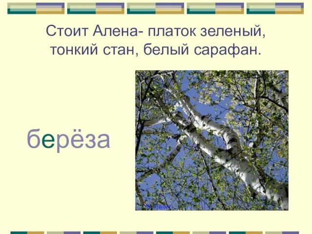 Стоит Алена- платок зеленый, тонкий стан, белый сарафан. берёза