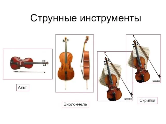 Струнные инструменты Альт Виолончель Скрипки