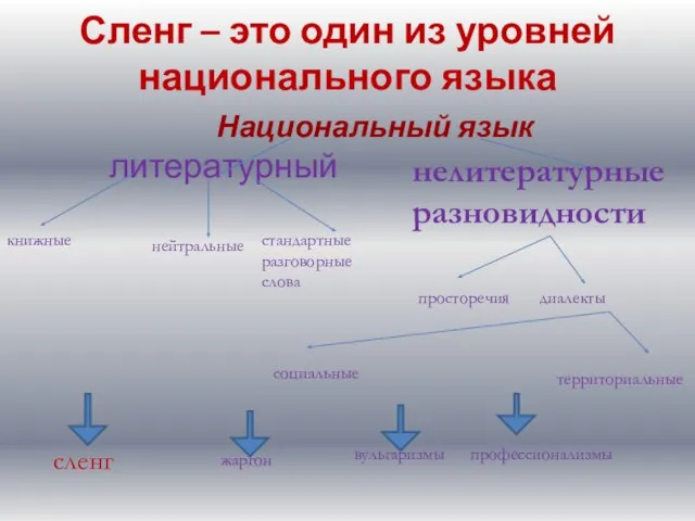 Сленг – это один из уровней национального языка Национальный язык литературный книжные