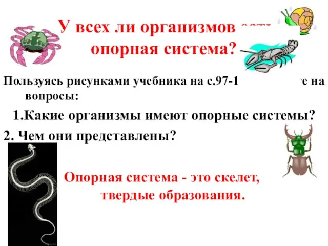 У всех ли организмов есть опорная система? Пользуясь рисунками учебника на с.97-100,