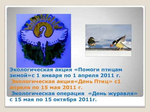 Экологическая акция «Помоги птицам зимой»с 1 января по 1 апреля 2011 г.