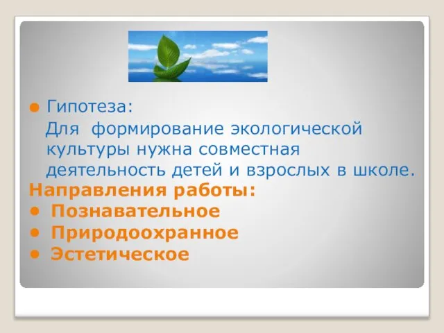 Направления работы: • Познавательное • Природоохранное • Эстетическое Гипотеза: Для формирование экологической