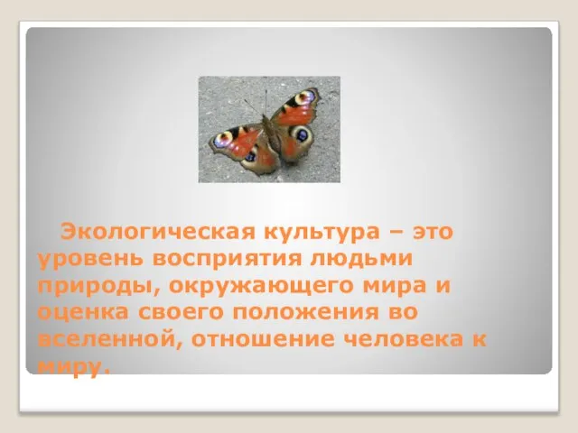 Экологическая культура – это уровень восприятия людьми природы, окружающего мира и оценка