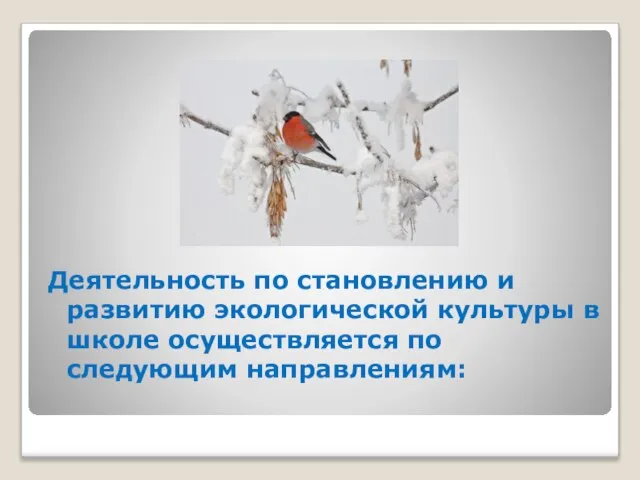 Деятельность по становлению и развитию экологической культуры в школе осуществляется по следующим направлениям: