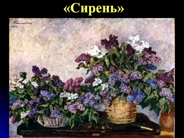 «Сирень»