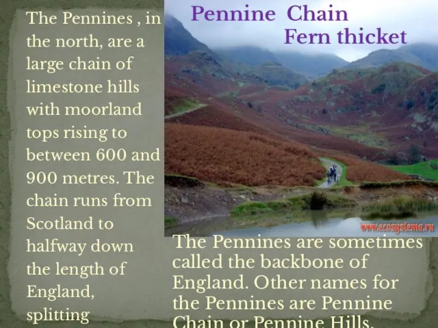 The Pennines , in the north, are a large chain of limestone