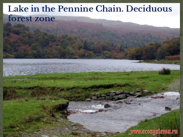 Lake in the Pennine Chain. Deciduous forest zone