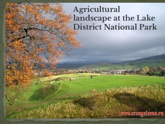 Agricultural landscape at the Lake District National Park
