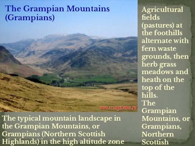 The typical mountain landscape in the Grampian Mountains, or Grampians (Northern Scottish