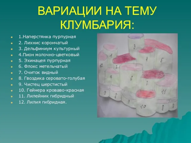 ВАРИАЦИИ НА ТЕМУ КЛУМБАРИЯ: 1.Наперстянка пурпурная 2. Лихнис корончатый 3. Дельфиниум культурный