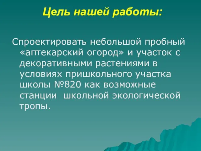 Цель нашей работы: Спроектировать небольшой пробный «аптекарский огород» и участок с декоративными