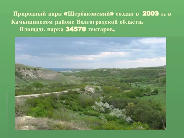 Природный парк «Щербаковский» создан в 2003 г. в Камышинском районе Волгоградской области. Площадь парка 34570 гектаров.