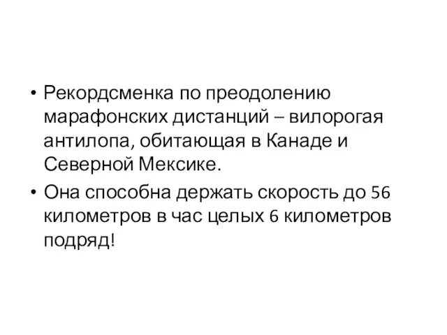 Рекордсменка по преодолению марафонских дистанций – вилорогая антилопа, обитающая в Канаде и