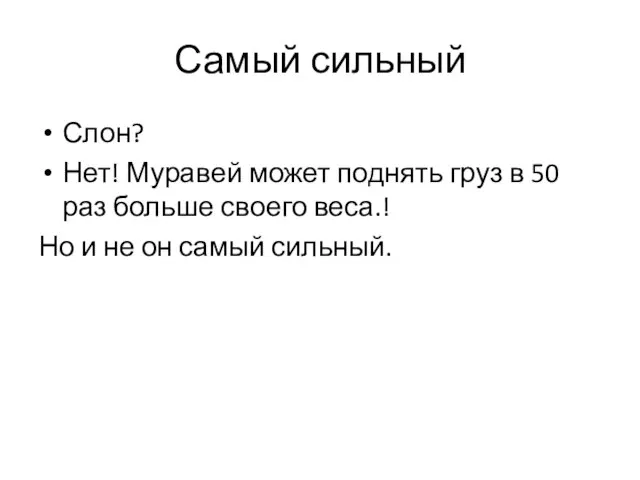 Самый сильный Слон? Нет! Муравей может поднять груз в 50 раз больше