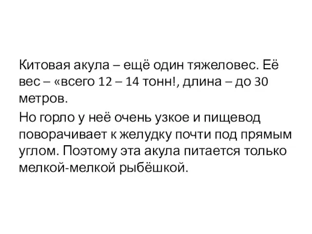 Китовая акула – ещё один тяжеловес. Её вес – «всего 12 –