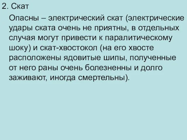 2. Скат Опасны – электрический скат (электрические удары ската очень не приятны,