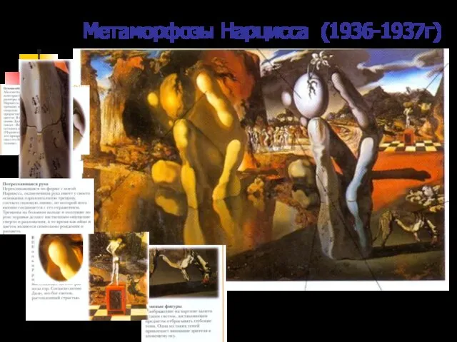 Метаморфозы Нарцисса (1936-1937г)